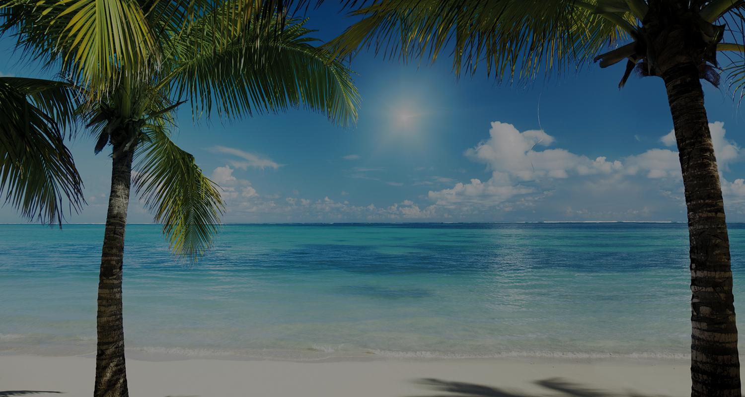 palm-tree-on-the-beach - Tropical Designs & Tans